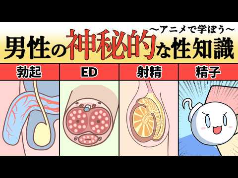 エロ漫画 同人 レビュー 天鹿 | 【アニメ】男性の神秘的な性知識４選　〜精子・射精・勃起・ED〜